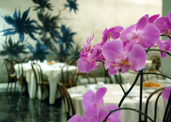 Brasile 3* Montecatini Terme